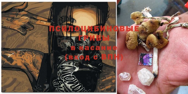 спайс Абинск