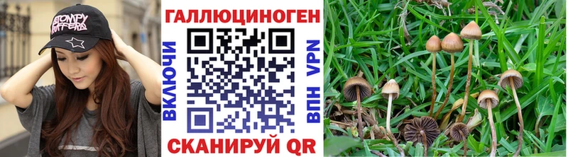 Галлюциногенные грибы GOLDEN TEACHER  Кирсанов 